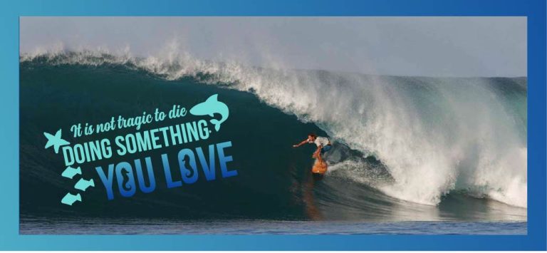 surf tags-03
